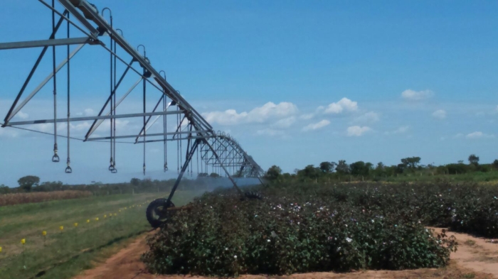 Imagem do dia - Avaliação do sistema de irrigação em Luís Eduardo Magalhães (BA)