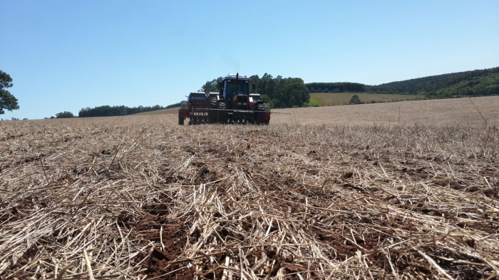 Imagem do dia - Plantio de soja em Passo Fundo (RS). Enviado pelo Engenheiro Agrônomo Mateus Cecconello