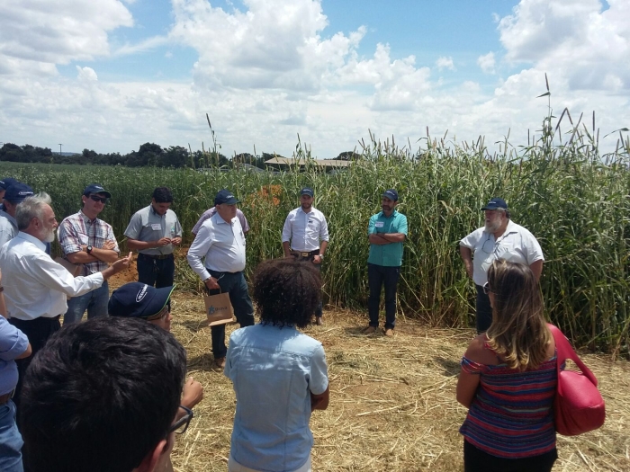 Imagem do dia - Dia de Campo na Fazenda Maringá em Cristalina (GO). Enviado por Beto Gava
