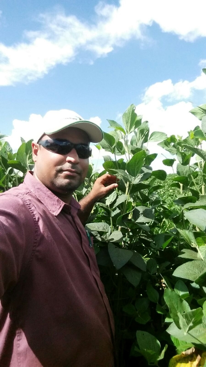 Imagem do dia - Lavoura de soja em Porteirão (GO). Enviado pelo Engenheiro Agrônomo Marcos Ferreira