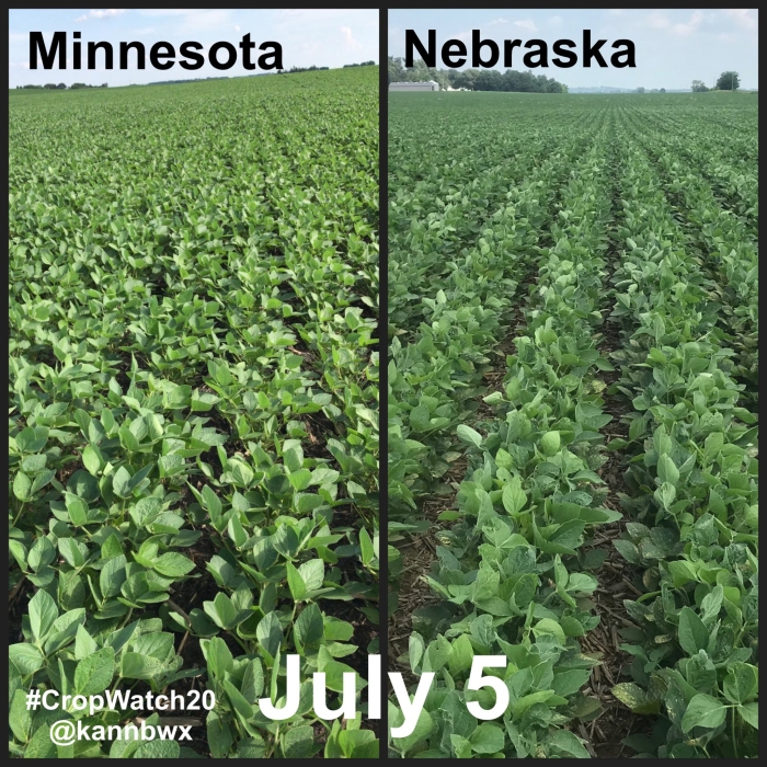 Lavouras de soja EUA - Karen Braun - Safra 2020/21