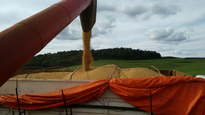 Imagem do dia - Colheita de soja em Espigão Alto do Iguaçu (PR), do produtor José Dionísio Managó
