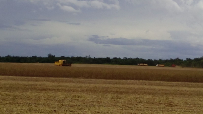 Imagem do dia - Final da colheita de soja em Toledo (PR)