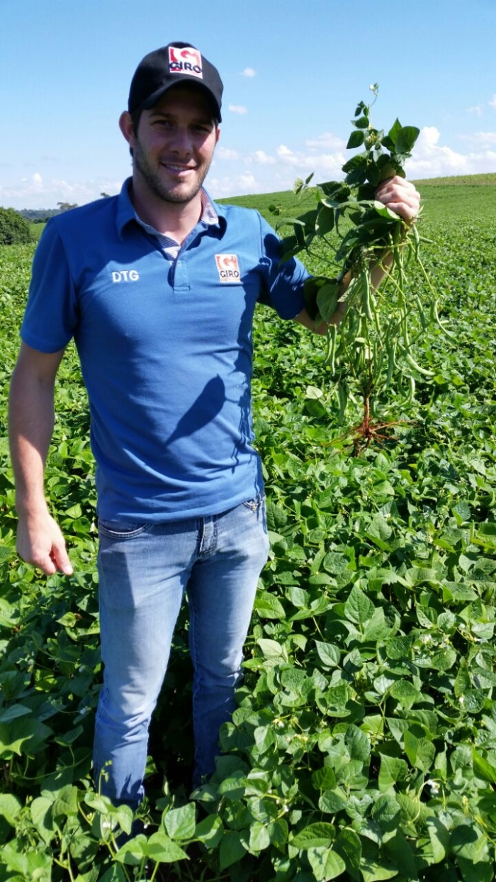 Imagem do dia - Lavoura de feijão em Renascença (PR), do produtor Daniel Paschoali. Enviado pelo Técnico Agrícola Carlos Mayer