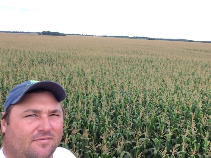 Imagem do dia - Lavoura de milho safrinha em Miranorte (TO), na Fazenda Scaramal