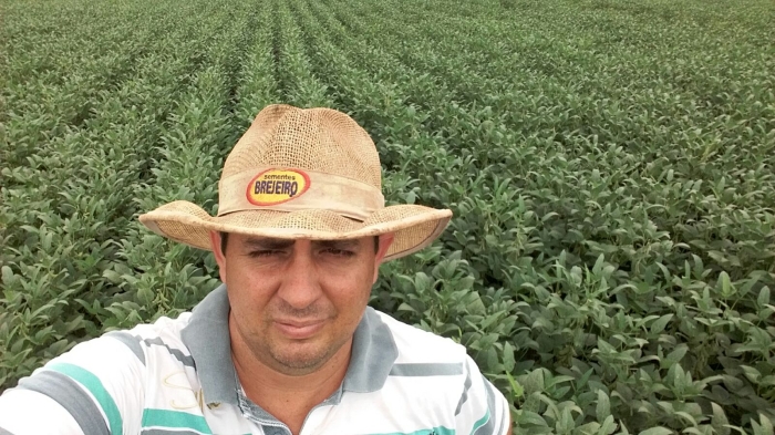 Imagem do dia - Lavoura de soja em Populina (SP), do produtor Edivaldo