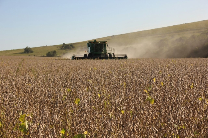 Imagem do dia - Colheita de soja em São Sepé (RS), dos produtores Paulo e Julio Bolzan. Imagens enviadas por Paulo Fontana