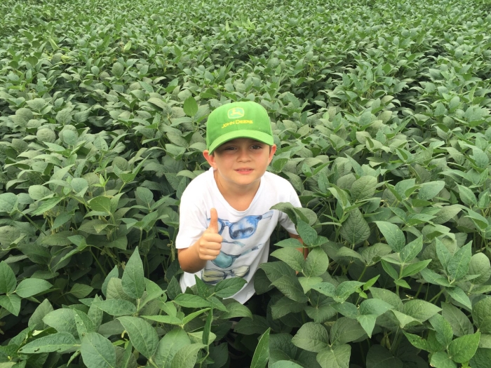 Imagem do dia - Lavoura de soja em Catanduvas (SC), do produtor Adair Spader