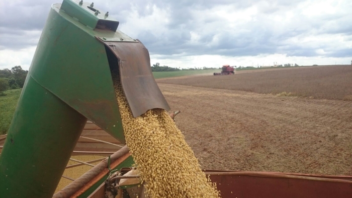 Imagem do dia - Colheita de soja em Santa Rita (PY), do produtor Leudomir Teleken