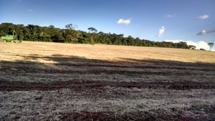 Imagem do dia - Imagem em Monte Carmelo (MG), do produtor João batista de Morais.