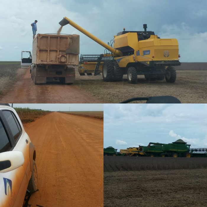 Imagem do dia - Colheita de soja em Brasnorte (MT). Enviado por Willane Fernandes