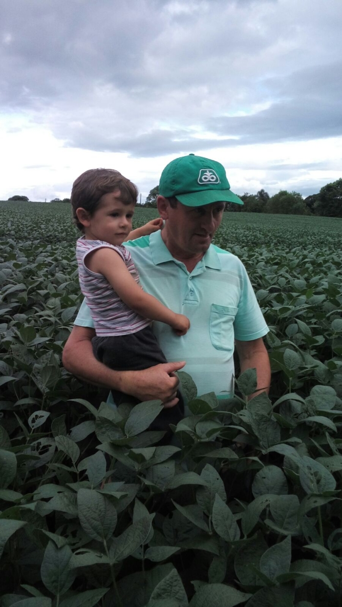 Imagem do dia - Lavoura de soja em Rio Bonito do Iguaçu (PR)