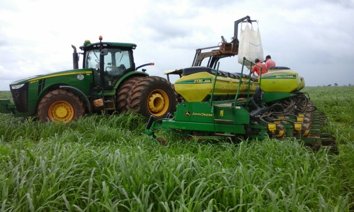 Imagem do dia - Início do plantio de milho safrinha em Tapurah (MT). Enviado por Jederson Luiz