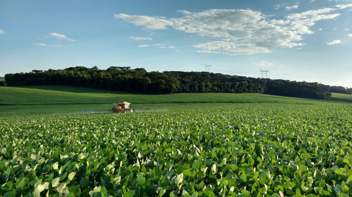 Imagem do dia - Lavoura de soja na Granja Muzzo em Getúlio Vargas (RS)