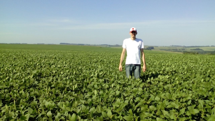 Imagem do dia - Lavoura de soja safrinha na região de Toledo (PR)
