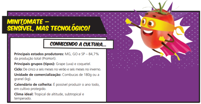 minitomate cepea