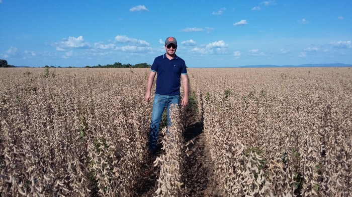 Imagem do dia - Lavoura de soja em Brejinho do Nazaré (TO), na Fazenda São Domingos, do produtor Ênio Pasqualli e Adriel Pasqualli