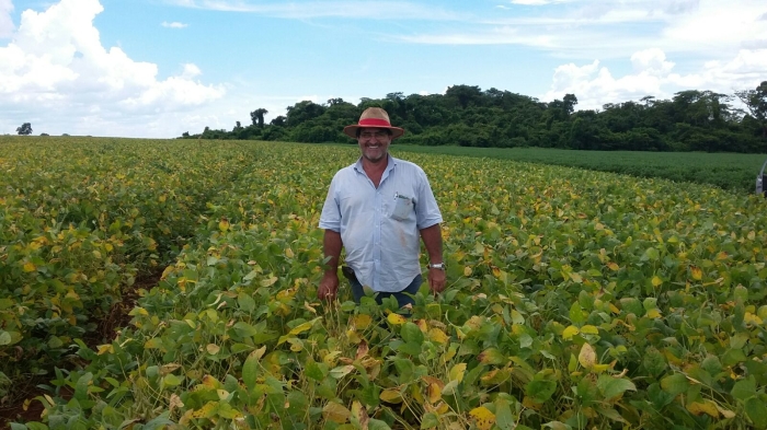 Imagem do dia - Lavoura de soja em Conceição das Alagoas (SP), do produtor José Marcos Treviso. Enviado pelo Engenheiro Agrônomo André Suzuki