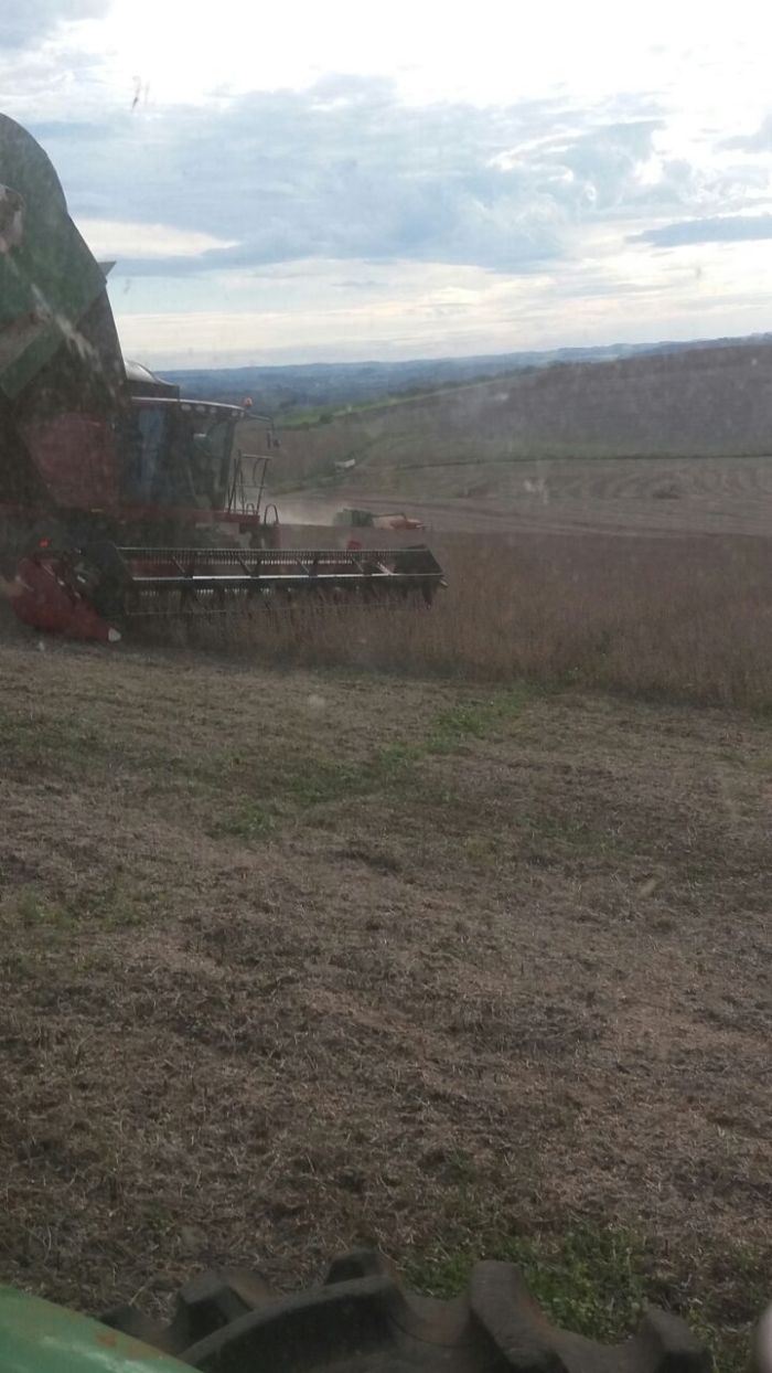 Imagem do dia - Colheita de soja em Mangueirinha (PR), do produtor Leonardo Cavalli