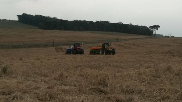 Imagem do dia - Plantio de soja em Mangueirinha (PR), dos produtores Luciano Sika e João Menegassi