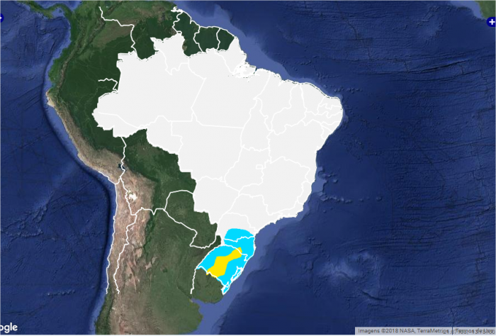 Mapa do risco geada nesta terça-feira (10) em todo o Brasil - Fonte: Inmet