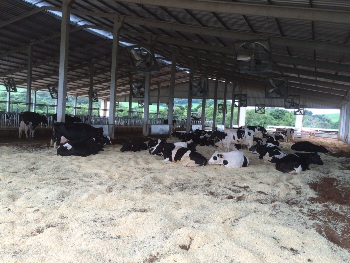 Imagem do dia - Sede da agropecuária Malage em Coronel Vivida (PR), do produtor Marcos Malage