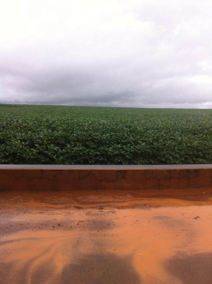 Imagem do dia - Lavoura de soja na Fazenda Formoso em Paraúna (GO)