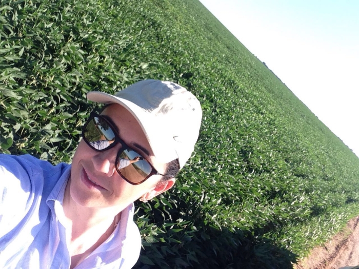 Imagem do dia - Lavoura de soja em São Gabriel do Oeste (MS). Enviado por Kassia Gaigher Munhoz