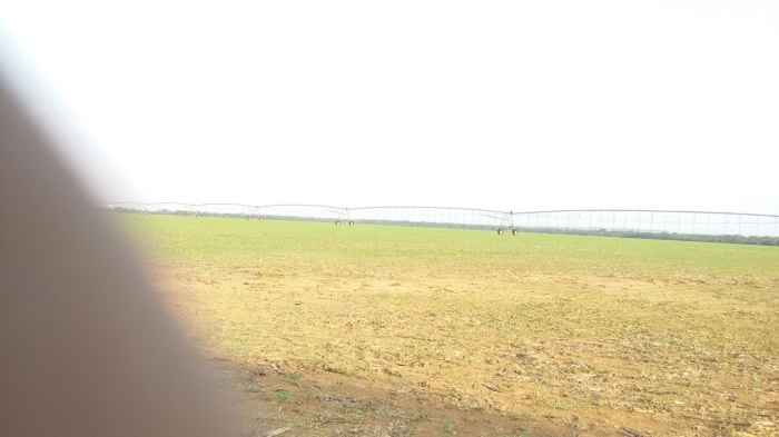 Imagem do dia - Início do plantio de soja em Nova Mutum (MT). Enviado por Edivan Faliguski