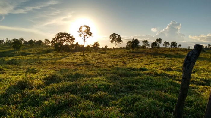 Imagem do dia - Imagem em Imperatriz (MA). Enviado por Emanuel Oliveira