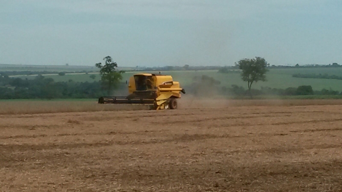 Imagem do dia - Colheita de soja em Conceição das Alagoas (MG)
