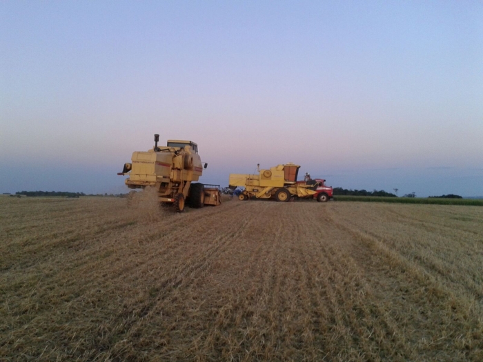 Imagem do dia - Colheita de trigo em Ajuricaba (RS)