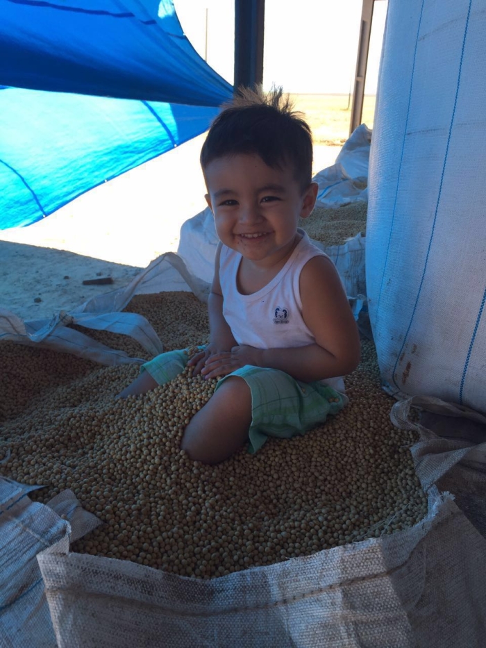 Imagem do dia - Theo Taji na colheita de soja em Aliança do Tocantins (TO), da Fazenda Taji Norte