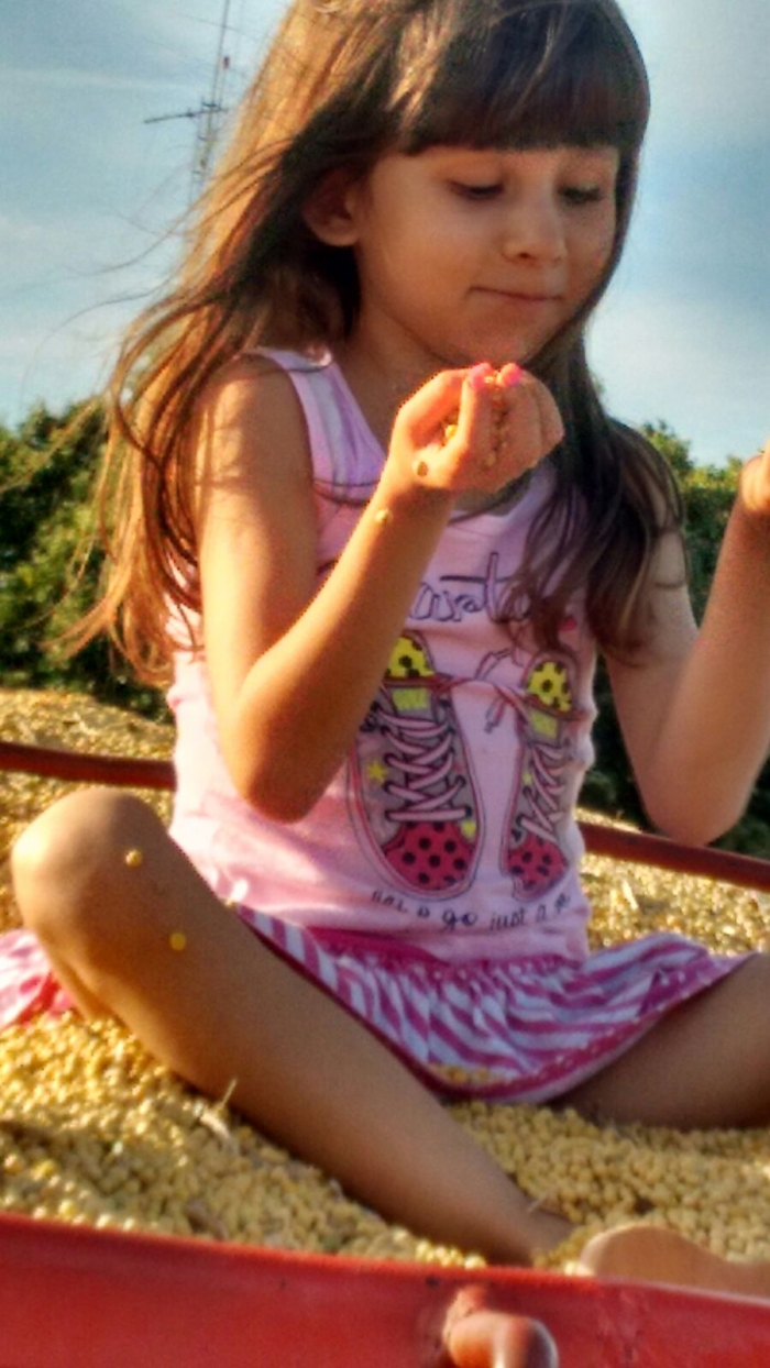 Imagem do dia - Camile Manttuy na colheita de soja em Mesópolis (SP), do produtor Edivaldo de Jesus Manttuy