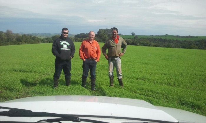 Imagem do dia - Funcionários da área de trigo em Espigão Alto do Iguaçu (PR), do proprietário Managó