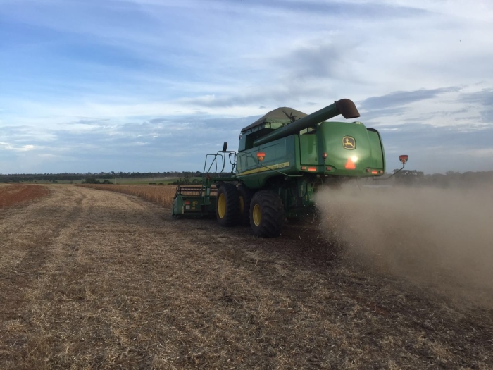 Imagem do dia - Colheita de soja na Fazenda Esperança em Santiago do Norte (MT)