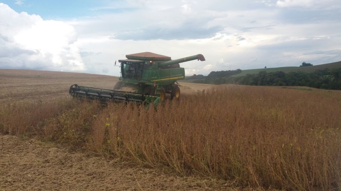 Imagem do dia - Colheita de soja em Bom Sucesso do Sul (PR)