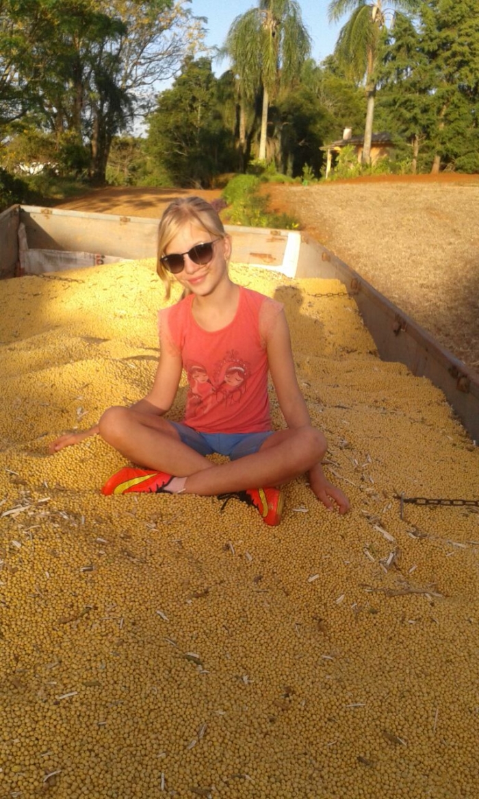 Imagem do dia - Colheita da soja em Fortaleza dos Valos (RS), da Família Ebert