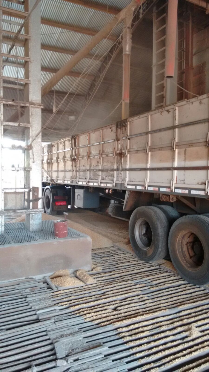 Imagem do dia - Carregamento de milho em Tapejara (RS)