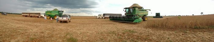 Imagem do dia - Colheita de soja na Fazenda Nova Conquista em Alvorada (TO)