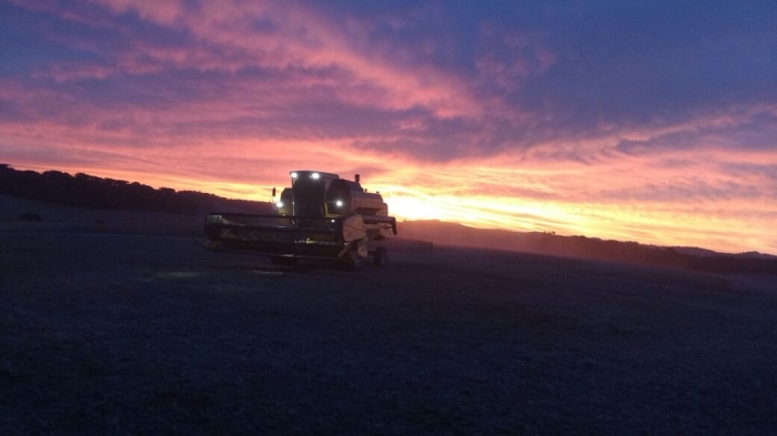 Imagem do dia - Fim de colheita em Getúlio Vargas (RS), na propriedade de Naudi Tirapelle