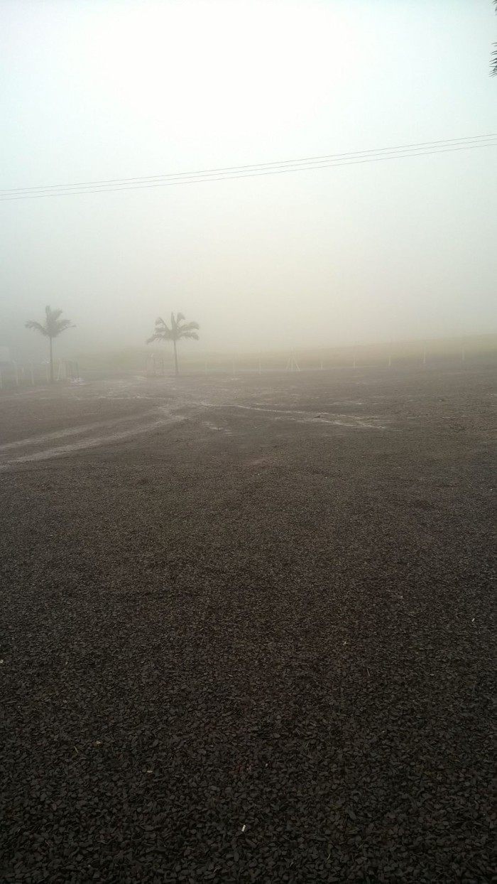 Chuva atrapalha colheita de trigo na região de Céu Azul P.R . Foto enviada por Josimar Fogliarini
