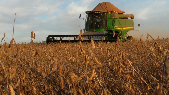 Imagem do dia - Fim da colheita da soja em Jacutinga (RS), na Fazenda Idalina, do produtor Avelino Ricardo Menegaz
