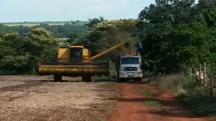Imagem do dia - Colheita de soja em Conceição das Alagoas (MG), na Fazenda Quebra Chifre. Enviado pelo Engenheiro Agrônomo Marcos Karudo