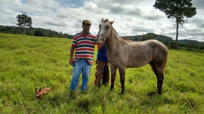 Imagem do dia  - Imagem em Imperatriz (MA). Enviado por Emanuel Oliveira