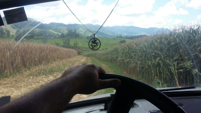 Imagem do dia - Lavoura de milho irrigado e milheto em São João da Boa Vista (SP), do produtor João Renato Moretto