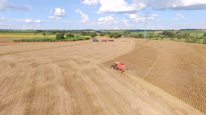 Imagem do dia - Colheita de soja em José Bonifácio (SP). Enviado por Wellington Modesto