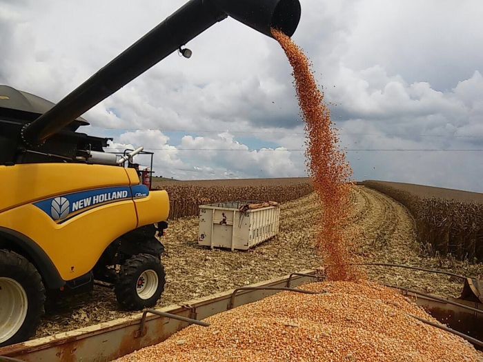 Imagem do dia - Colheita de milho em Madre de Deus de Minas (MG), na Fazenda Campo Vitória do produtor Richard Franchi
