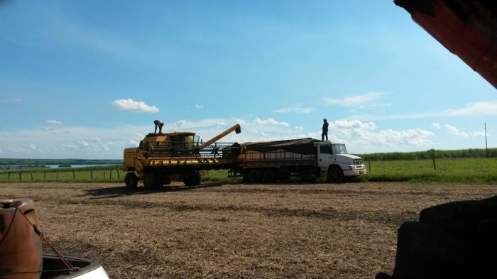 Imagem do dia - Colheita de soja em Conceição das Alagoas (MG), na Fazenda Quebra Chifre. Enviado pelo Engenheiro Agrônomo Marcos Karudo
