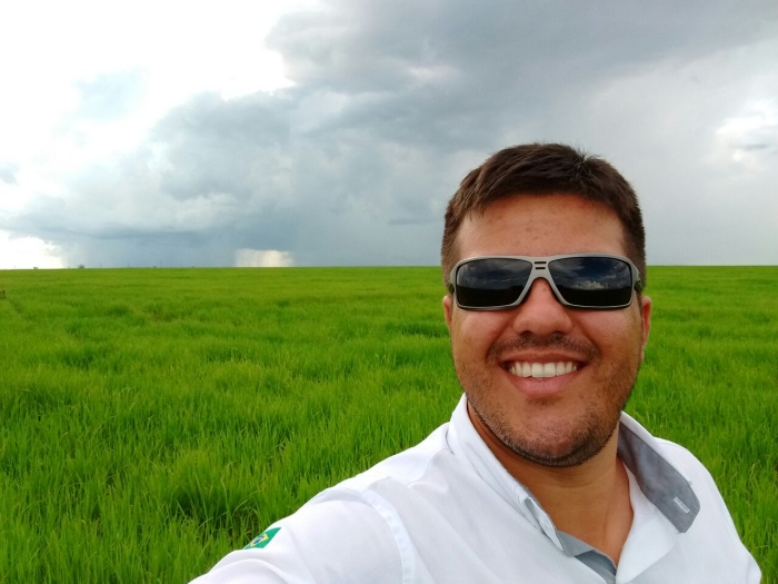 Imagem do dia - Lavoura de arroz em Dom Eliseu (PA). Enviado pelo Engenheiro Agrônomo Bruno Alves